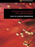 Learning-progressions-read-with-understanding